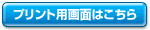 �v�����g�p��ʂ͂�����