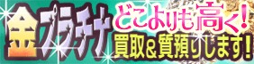 ���v���`�i���ǂ������������恕���a�肵�܂�